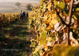 séance famille lifestyle Marcy Beaujolais par Delphine Perez